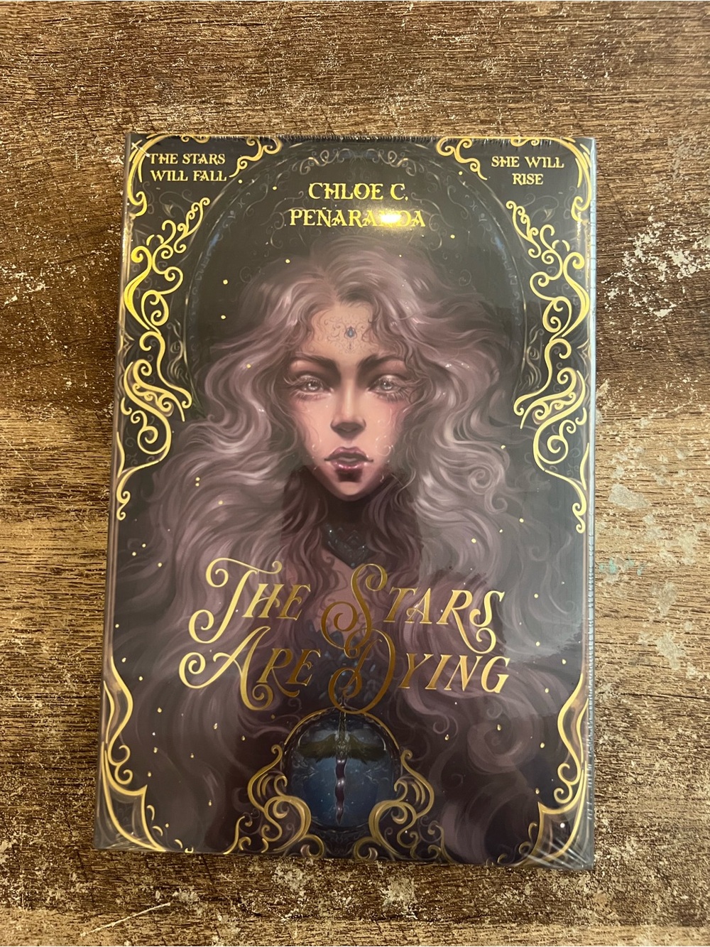 The Stars Are Dying Bookish Box Special Edition